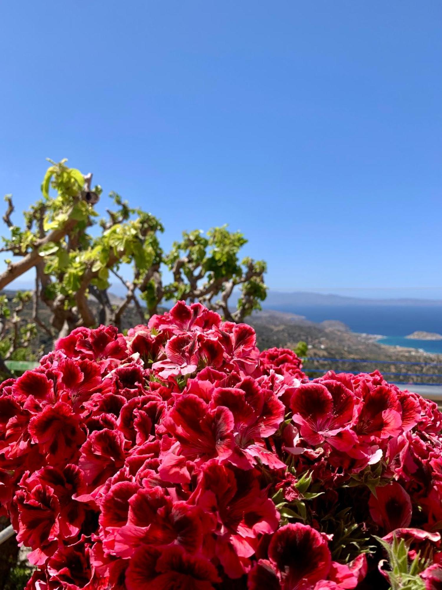 Morea Bay View Tourlotí Екстериор снимка