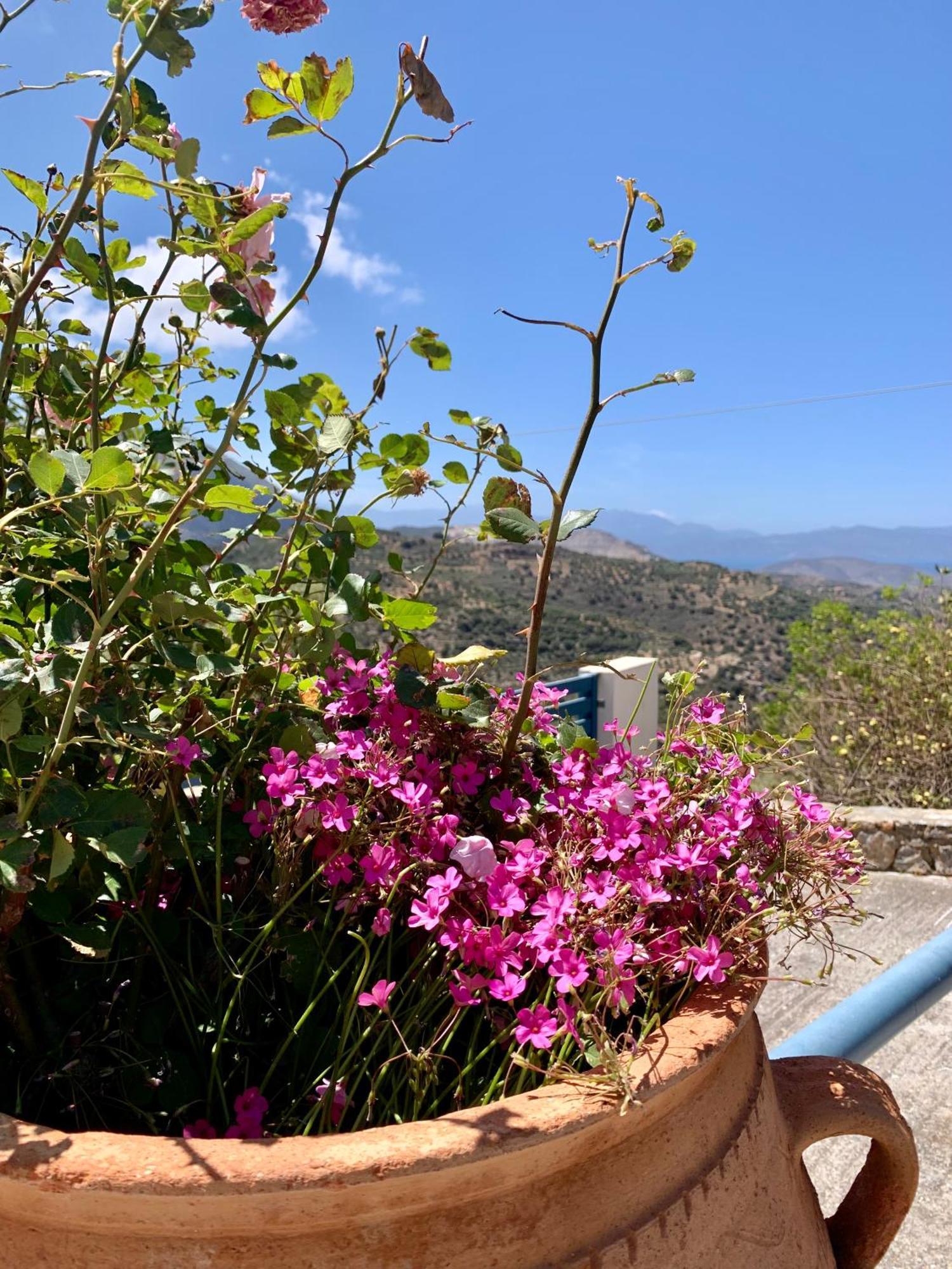 Morea Bay View Tourlotí Екстериор снимка